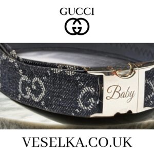gucci dog collar also cats large and small usa