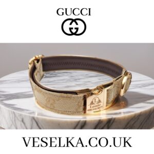 gucci dog collar and leash cat small and large sandy with personalised name engraved on buckle