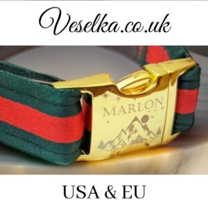 gucci dog collar cat puppy small and and large usa and eu etsy and amazon