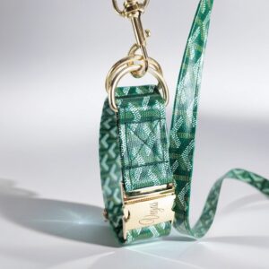 Goyard dog collar and leash. designer dog collar, puppy collar and leash.
