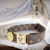 Brown leather designer dog collar and leash for large and small dogs puppies and cats