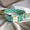 goyard small dog and cat collar green red blue