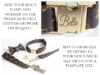 personalized designer dog collar and leash