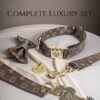 luxury designer dog collar and leash with bow tie -- puppy set