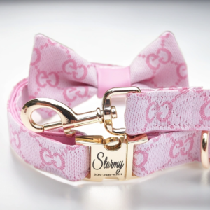 pink Gucci dog collar and leash for small and large dogs. designer luxury harness in baby pink.