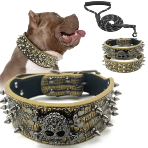 The Grim Reaper - Genuine gold Leather Spiked Skull Dog Collar - Heavy Duty Bully Breed Mastiff - FREE USA shipping - Extra Large.
