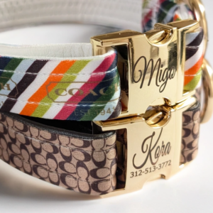 coach designer dog collar and leash