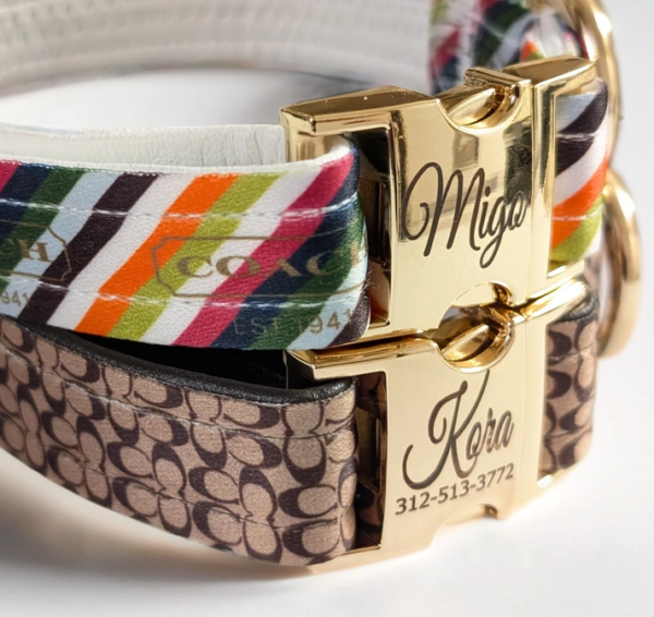 coach designer dog collar and leash