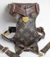 louis vuitton dog harness collar and leash small medium puppy cat set