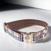 burberry dog collar and leash puppy set