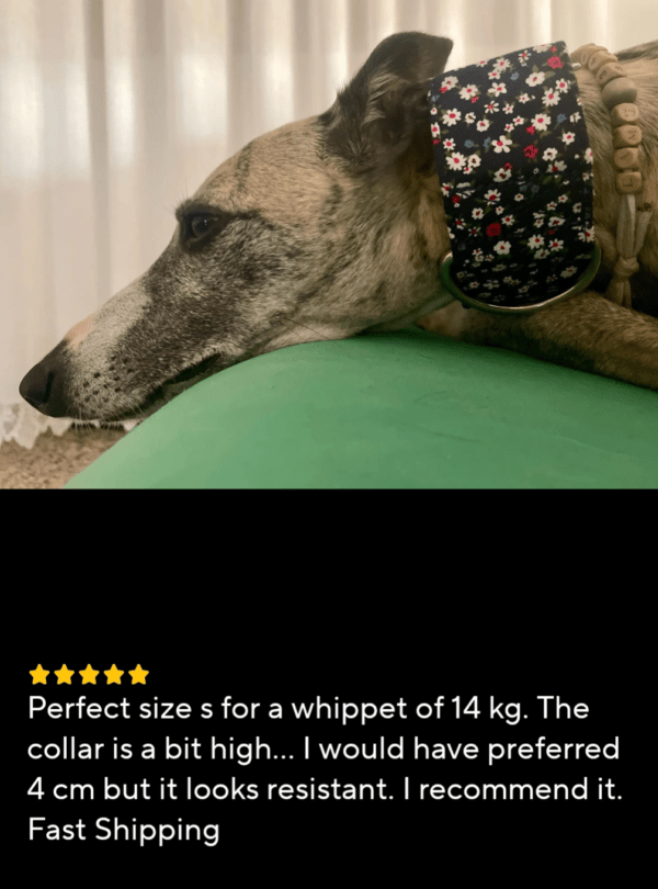 best reviews uk extra wide martingale collar whippet greyhound and extra large dogs