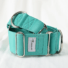 Turquoise martingale extra wide dog collar whippet grey hound