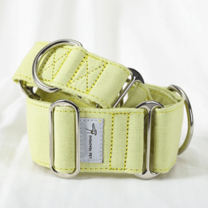 lime green martingale extra wide dog collar whippet grey hound