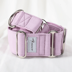 baby pink martingale extra wide dog collar whippet grey hound