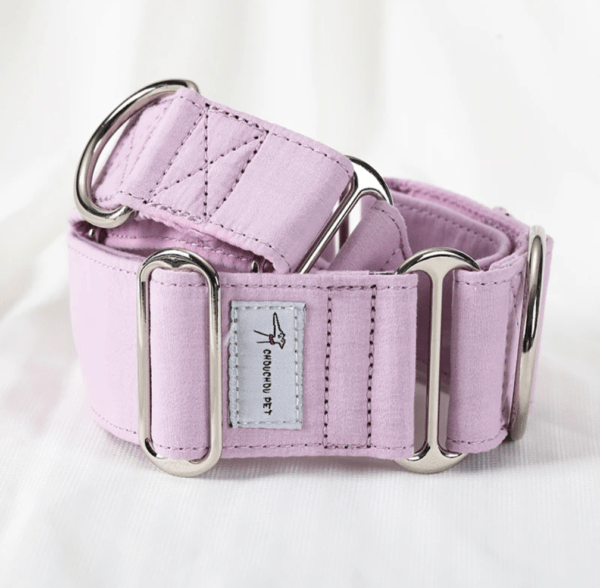 baby pink martingale extra wide dog collar whippet grey hound