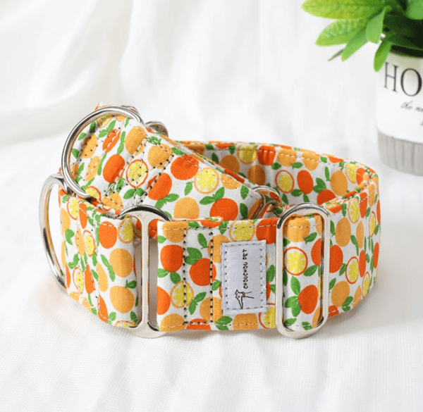 orange extra wide martingale collar whippet greyhound and extra large dogs