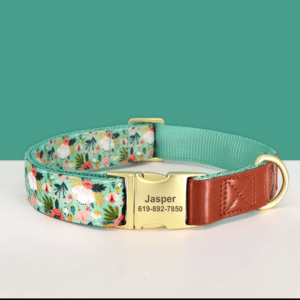 green floral dog puppy collar with leather small medium and large