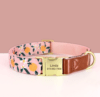 baby pink with oranges floral dog puppy collar with leather small medium and large