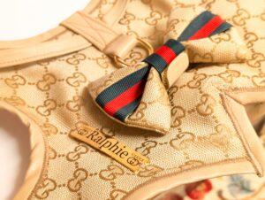 gold luxury gucci dog harness and leash for small dogs and puppies