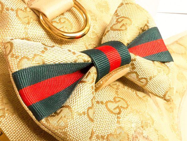 gold luxury gucci dog harness and leash for small dogs and puppies