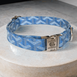 Goyard inspired dog collar and leash in blue small to large